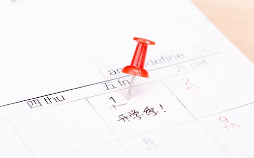 2026年山东成人高考需要填报哪些报考信息？