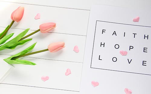 浙江成人高考什么时候查成绩？