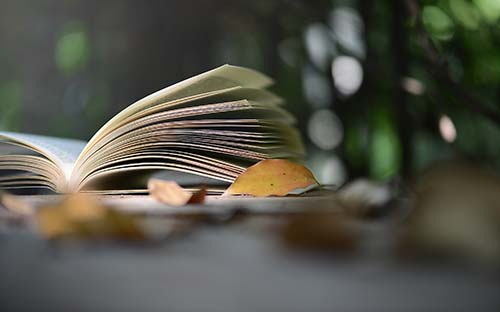 2023年山东成人高考报名时间是多久？