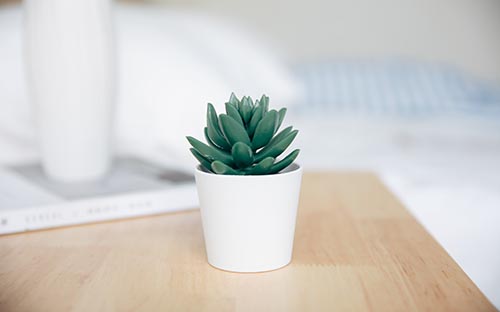 成人自考停考过渡是取消专业了吗?