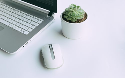 成人高考的学费是谁定的？