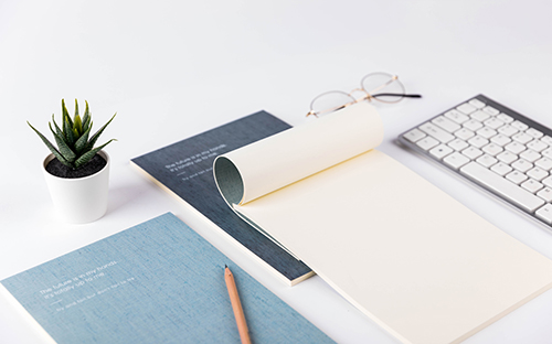 浙江成人高考分数怎么查询？