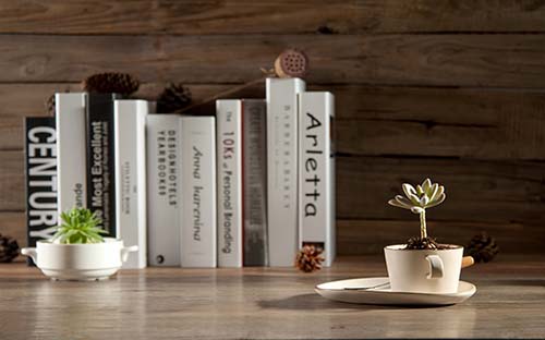 自考本科一年几科可以考?