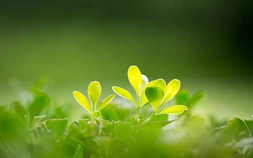 成人自考一次报几门合适?