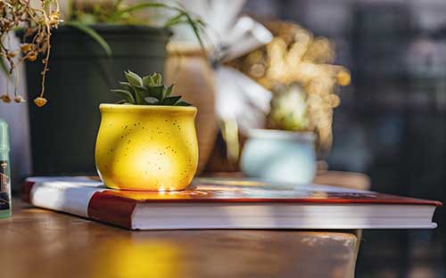 2025年成人高考报名时间是多久？学费多少钱一年？
