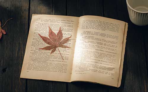 辽宁成人高考读几年毕业？