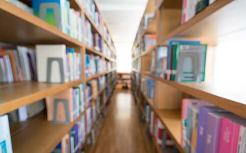 自学考试本科有什么专业能报名？