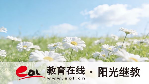 山东成人高考报名入口在哪里？线上报名方法有哪些？