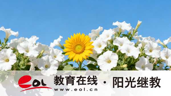 北京自学考试报名入口在哪里？怎么做复习计划？